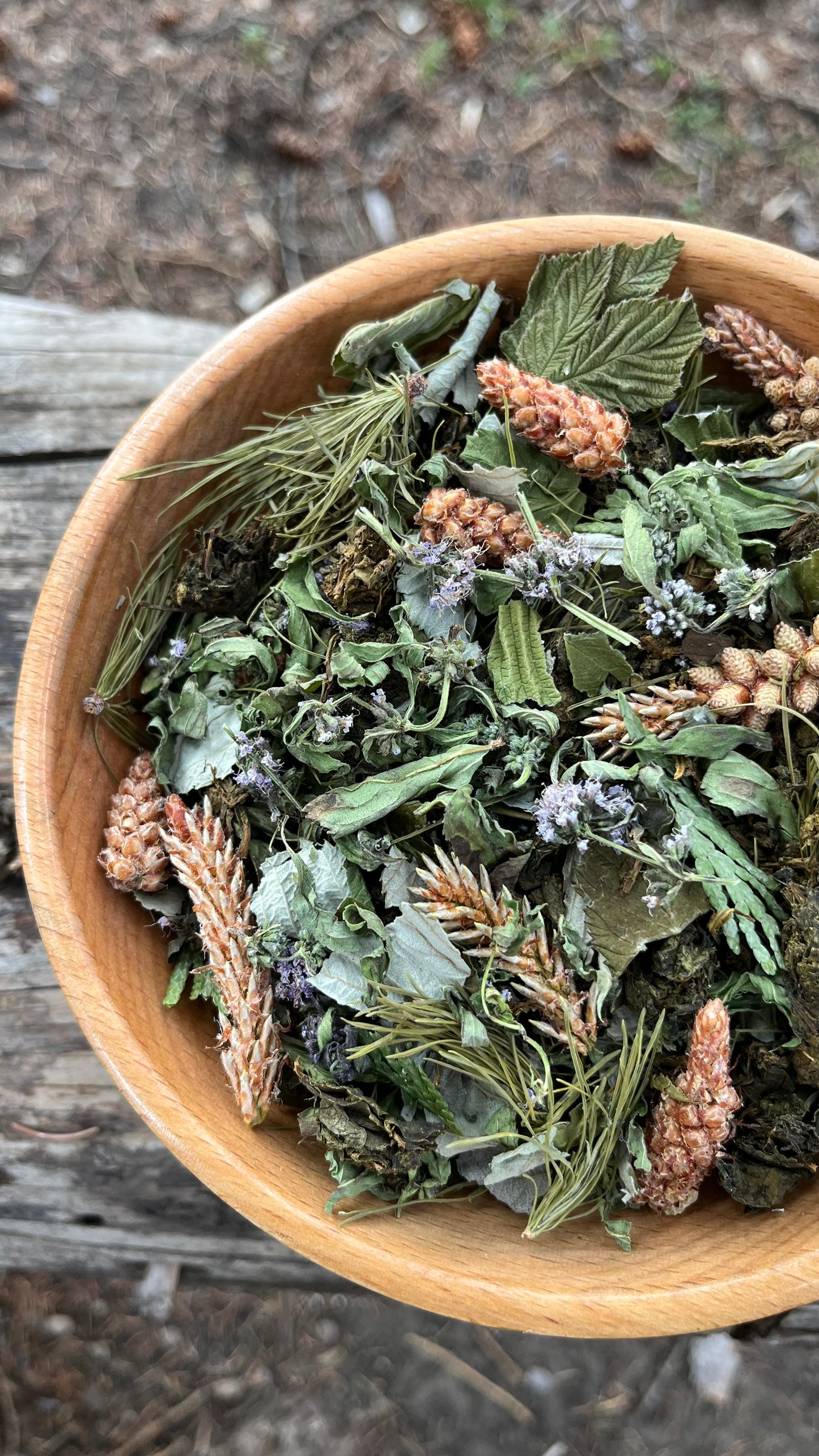 Forest Light — Harmony Blend