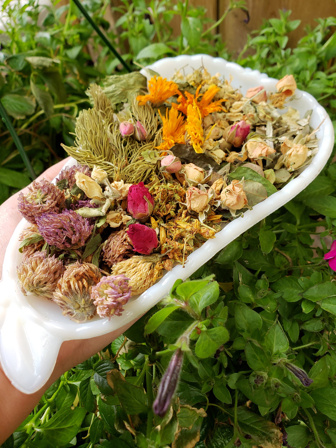 What the difference between "WILD Crafted" and "Certified ORGANIC" herbs?