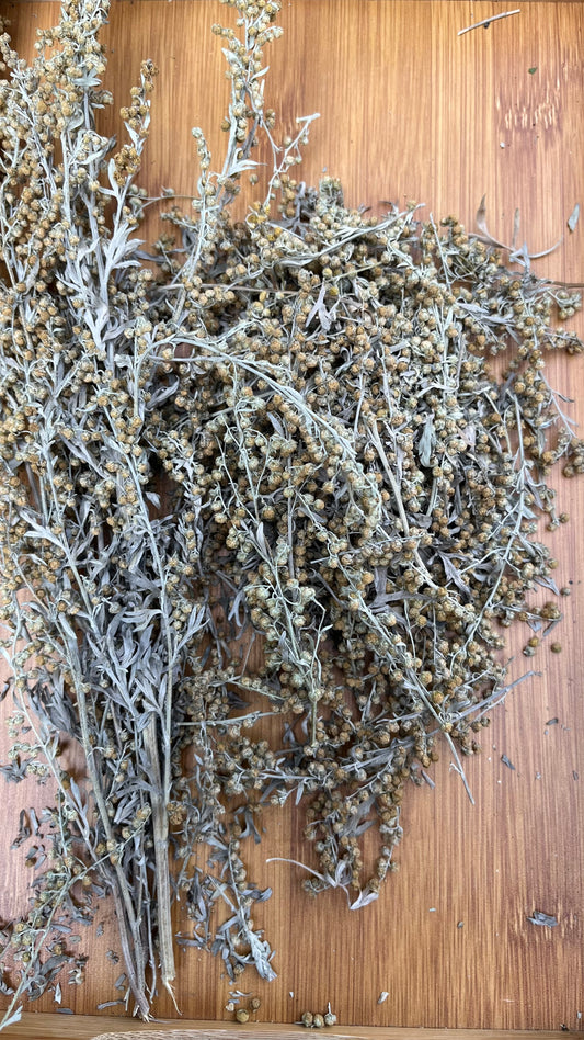 Wild Wormwood leaves & flowers