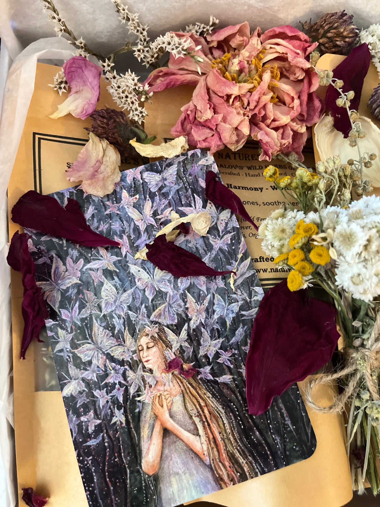 Bloom & Calm Gift Set