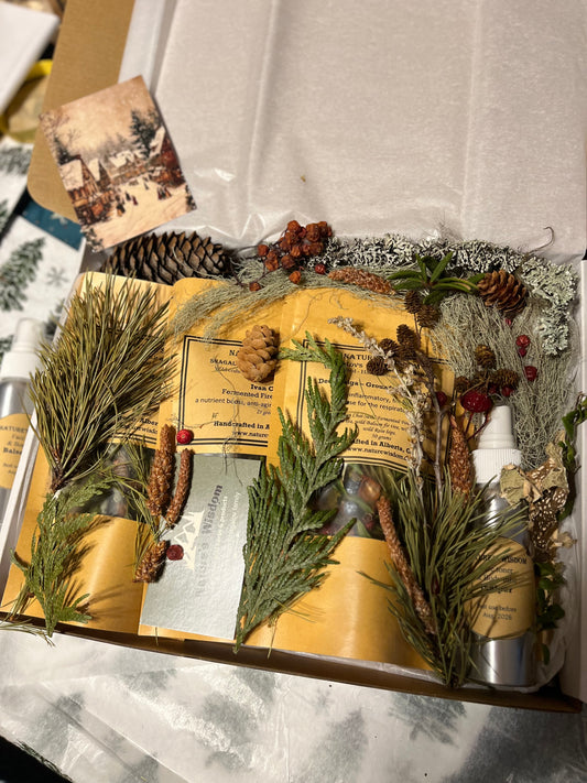 Woodland Magic Gift Set