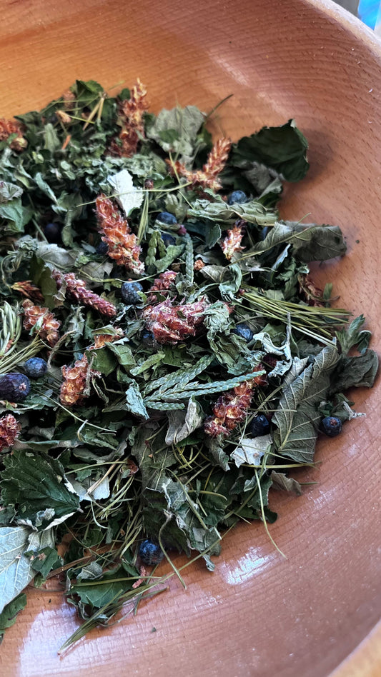 Northern Forest Breath - Respiratory Blend