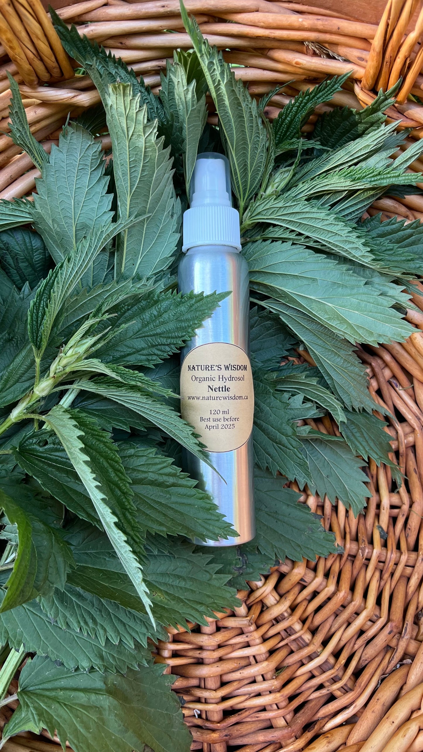Stinging Nettle Hydrosol