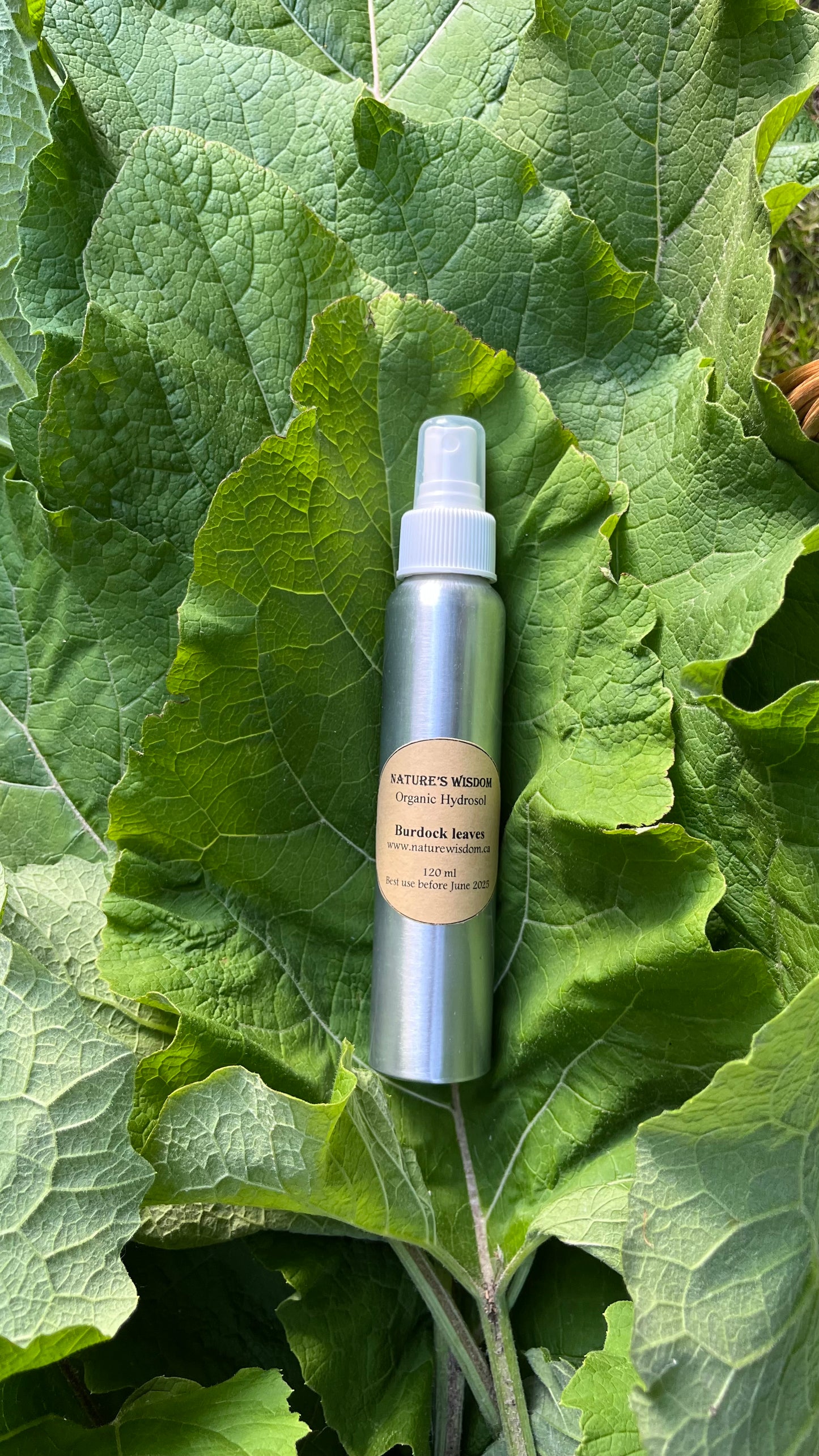 Burdock Hair & Skin Mist (Hydrosol)